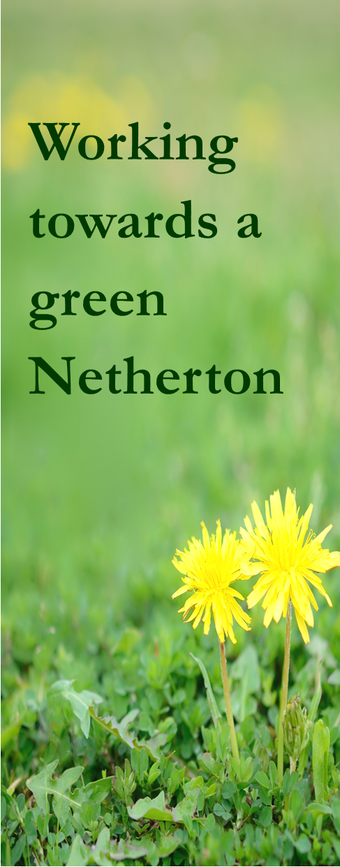 Green Netherton